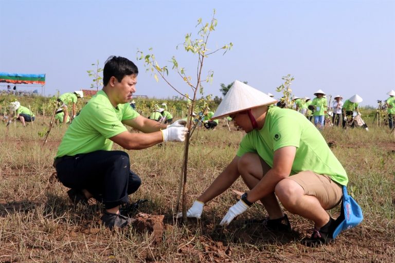 hoạt động bảo vệ môi trường phải được tiến hành như thế nào?